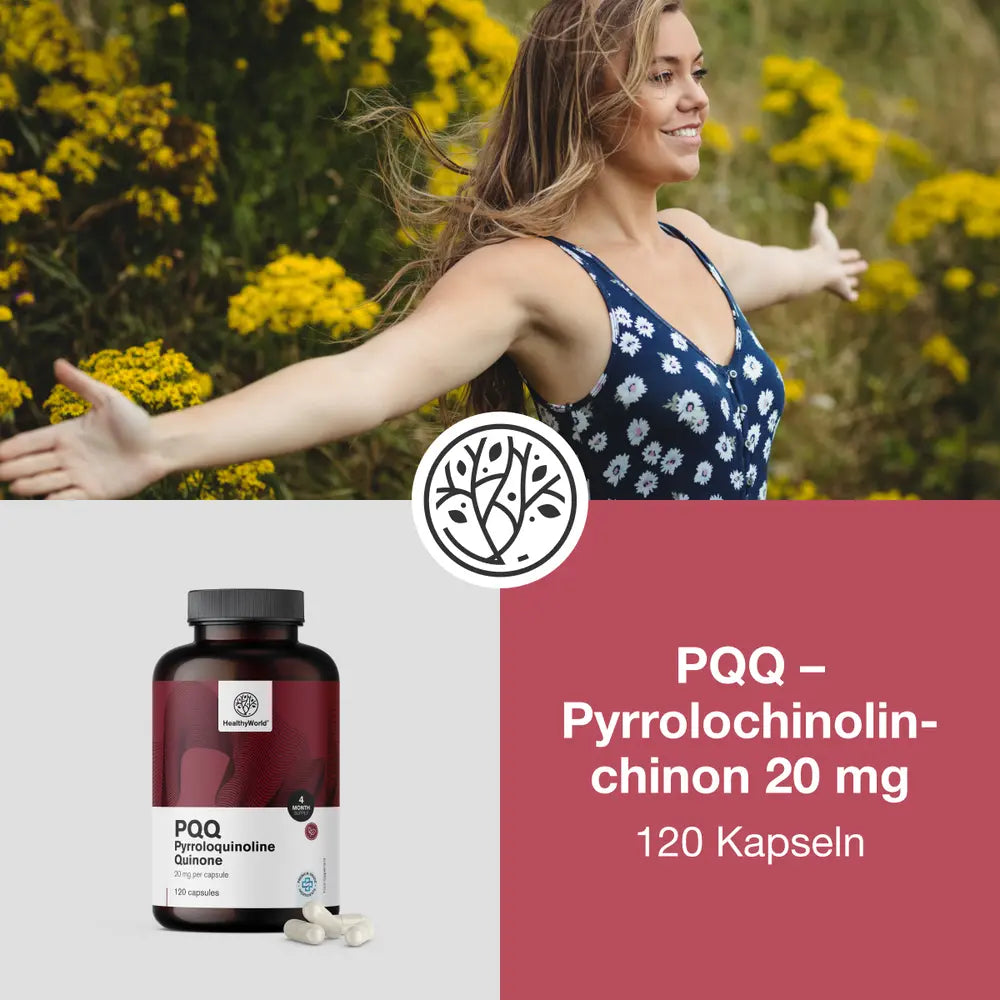 HealthyWorld | PQQ – Pyrrolochinolinchinon 20 mg - 120 Kapseln