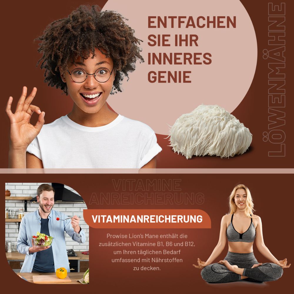 Prowise Healthcare Löwenmähnen-Pilzpräparat 4000 mg mit Vitamin B1 · 180 Tabletten – Bild 2