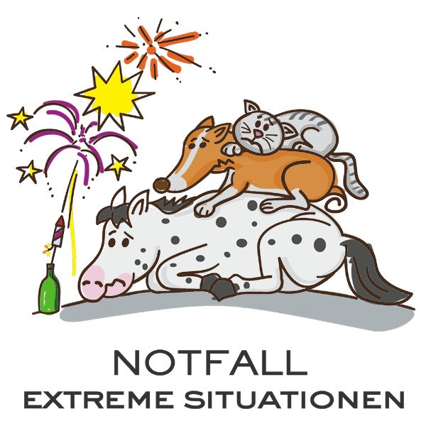 Edis Pets Five Flowers Bio Bachblüten Notfall-Globuli für Tiere