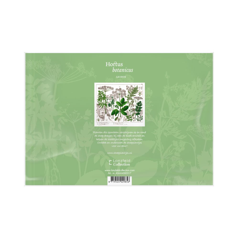 Schutzoutlet | Schlafmaske Holunder - Hortus Botanicus