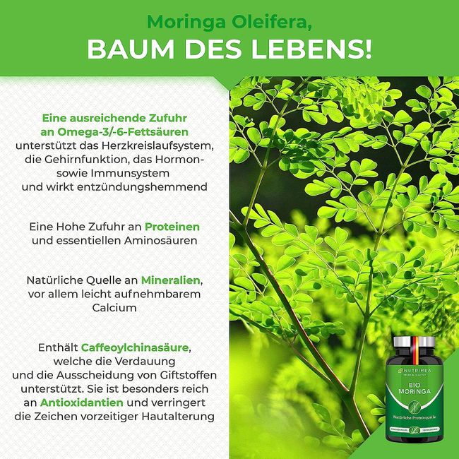 Nutrimea | MORINGA Oleifera Kapseln | BIO Zertifiziert OHNE Zusätze  SUPERFOOD 100% VEGAN