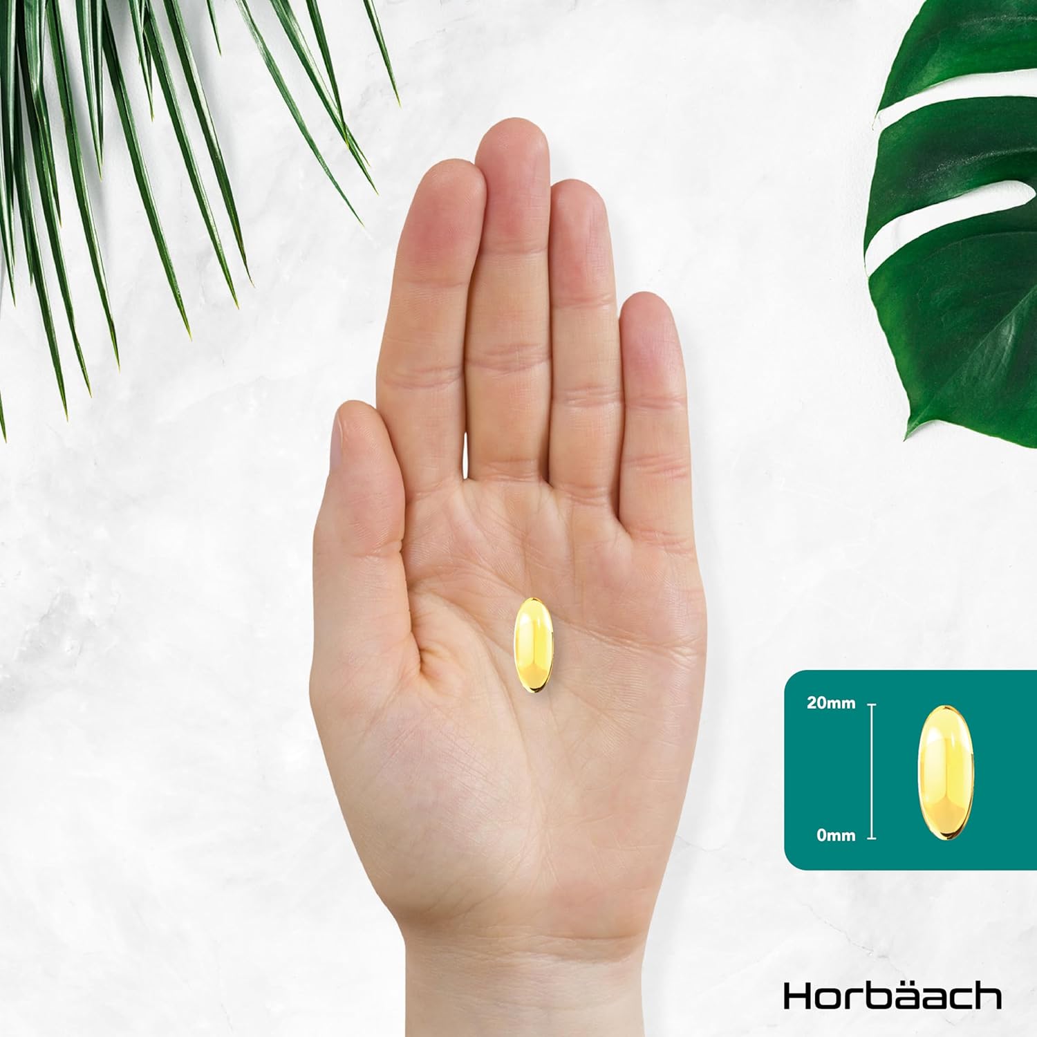 Horbaach | Omega 3 Vegan 1500mg aus Algenöl | 60 Kapseln mit Hochdosiert ALA und DHA pro Portion