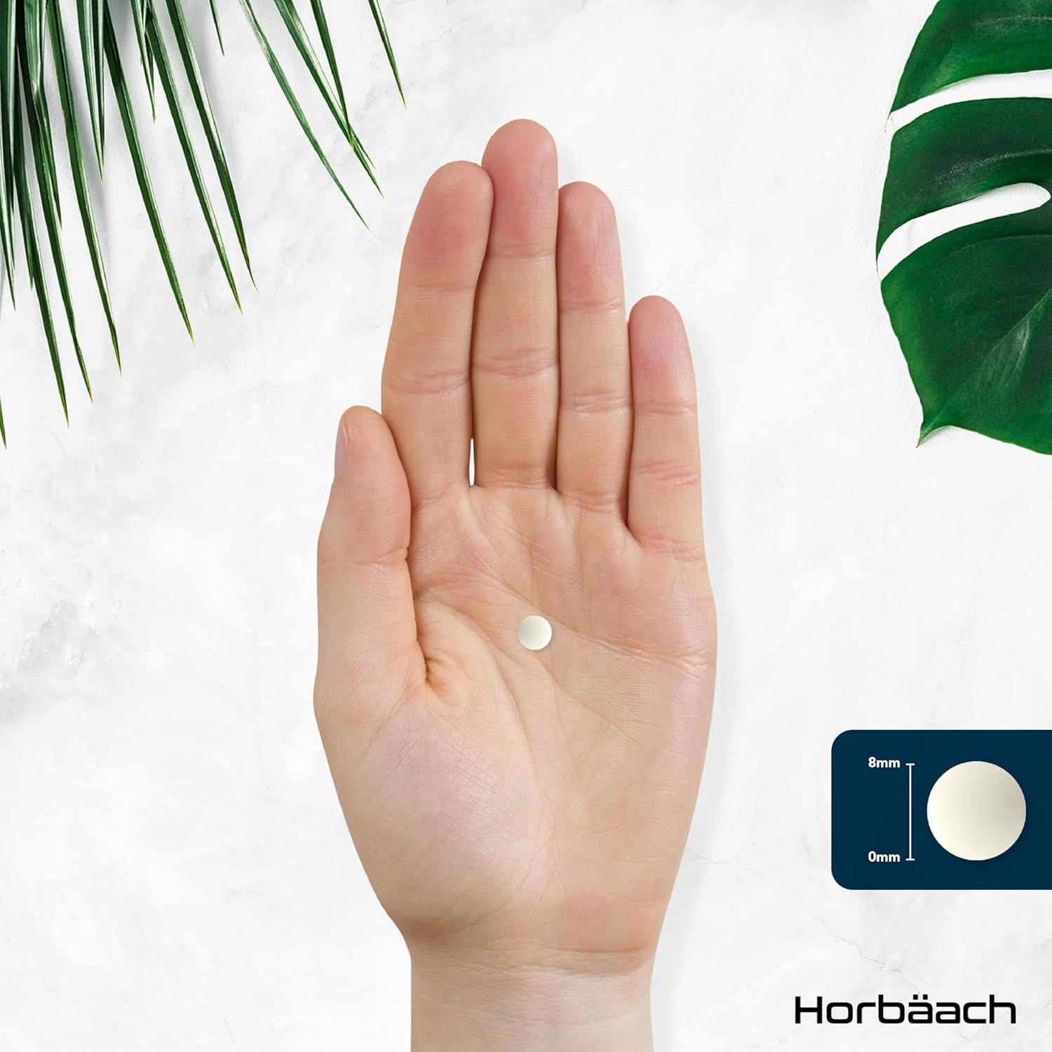 Horbäach | Boron 5mg - Hochdosiert - 1 Jahr Vorrat - 365 Vegane Tabletten