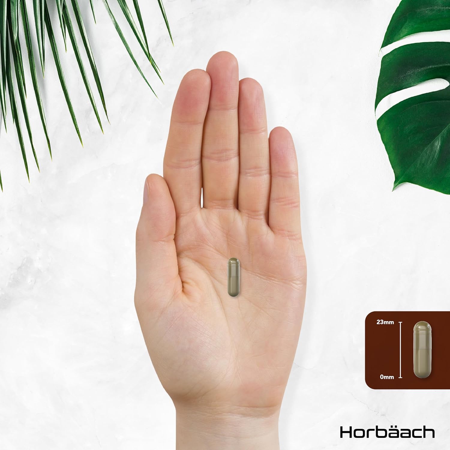 Horbaach | Lions Mane 3000mg - 120 Kapseln