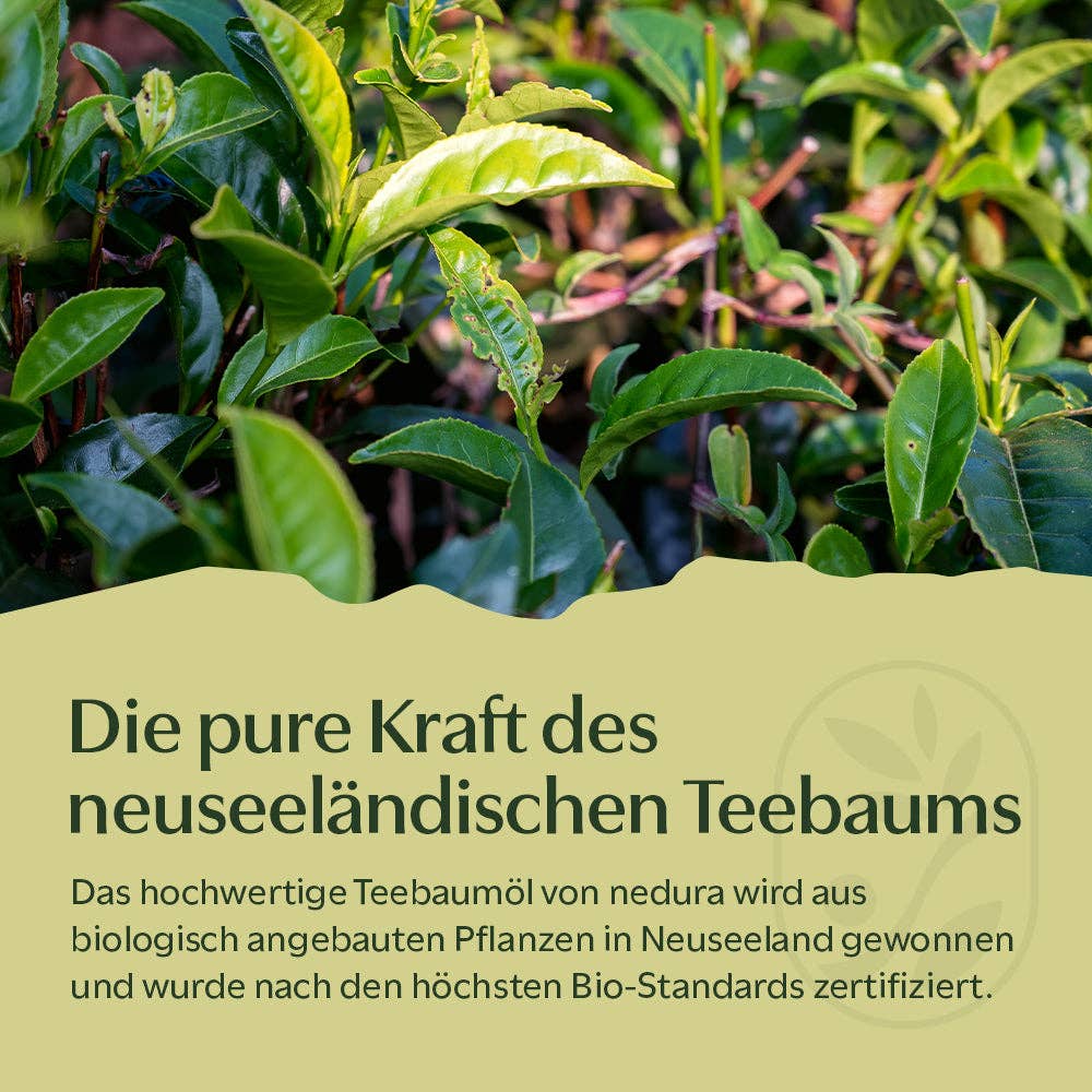 Nedura BIO Teebaumöl - Natürliche Pflege für Haut und Gesicht - 30ml