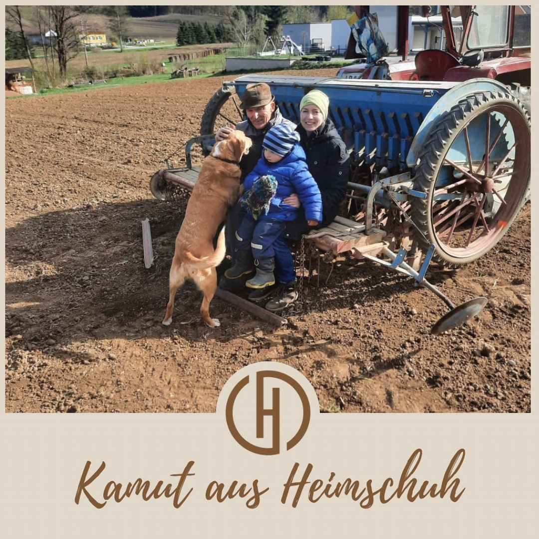 Hartlieb | Apfelessig mit Blütenhonig - (250 | 500 ml)