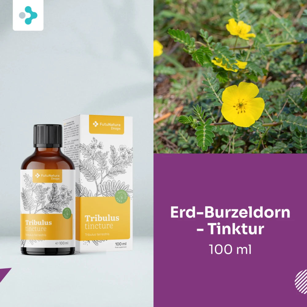 FutuNatura Erd-Burzeldorn – Tinktur - 100 ml