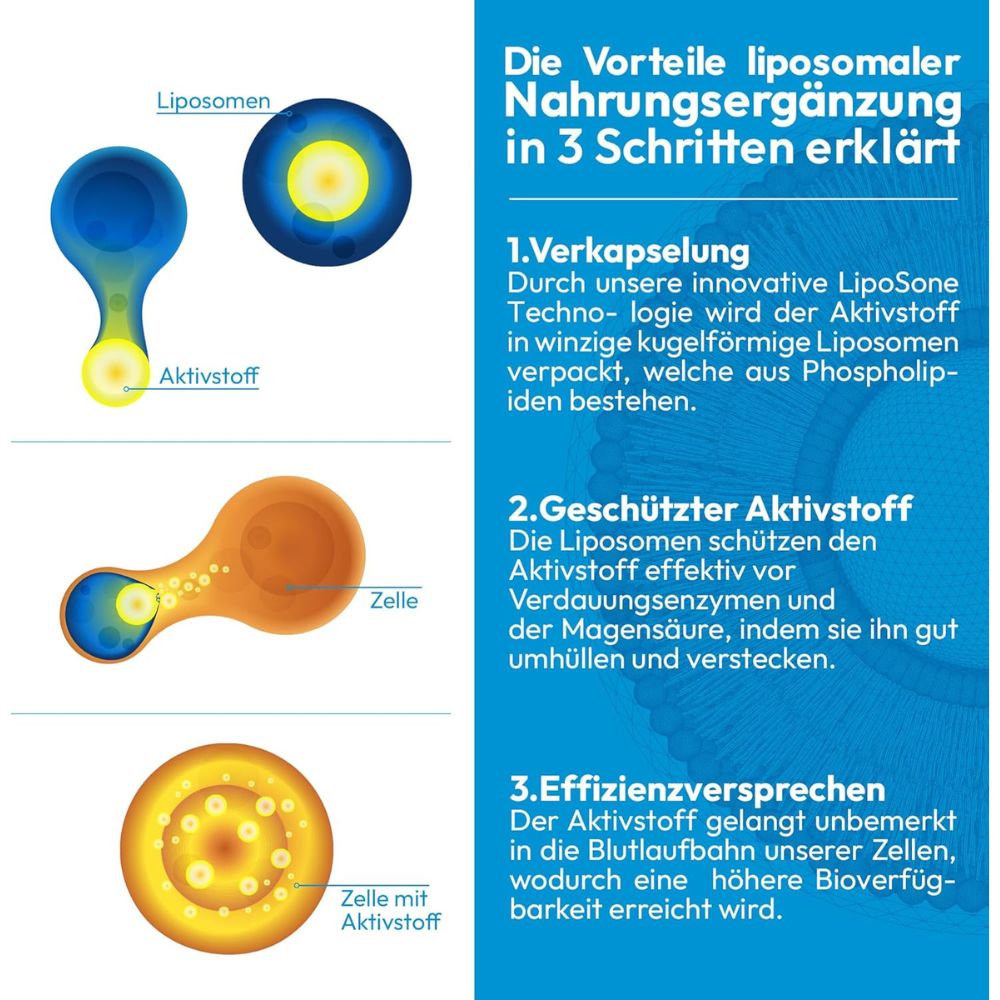 ActiNovo | Cell Recovery Liposomal aus Quercetin, Fisetin und Coenzym Q10 - 250ml