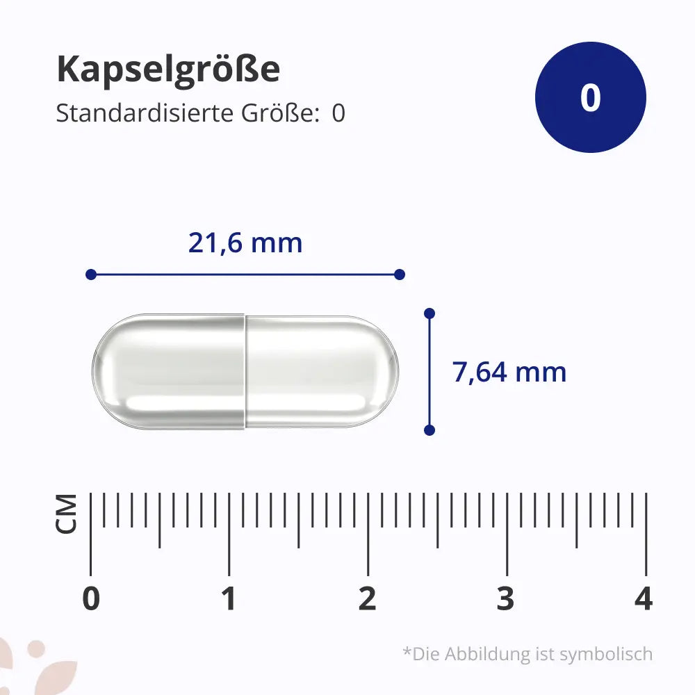 HealthyWorld | Multivitamine & Mineralien – 25 Vitamine & Mineralstoffe für Energie, Immunsystem & Vitalität - 365 Kapseln