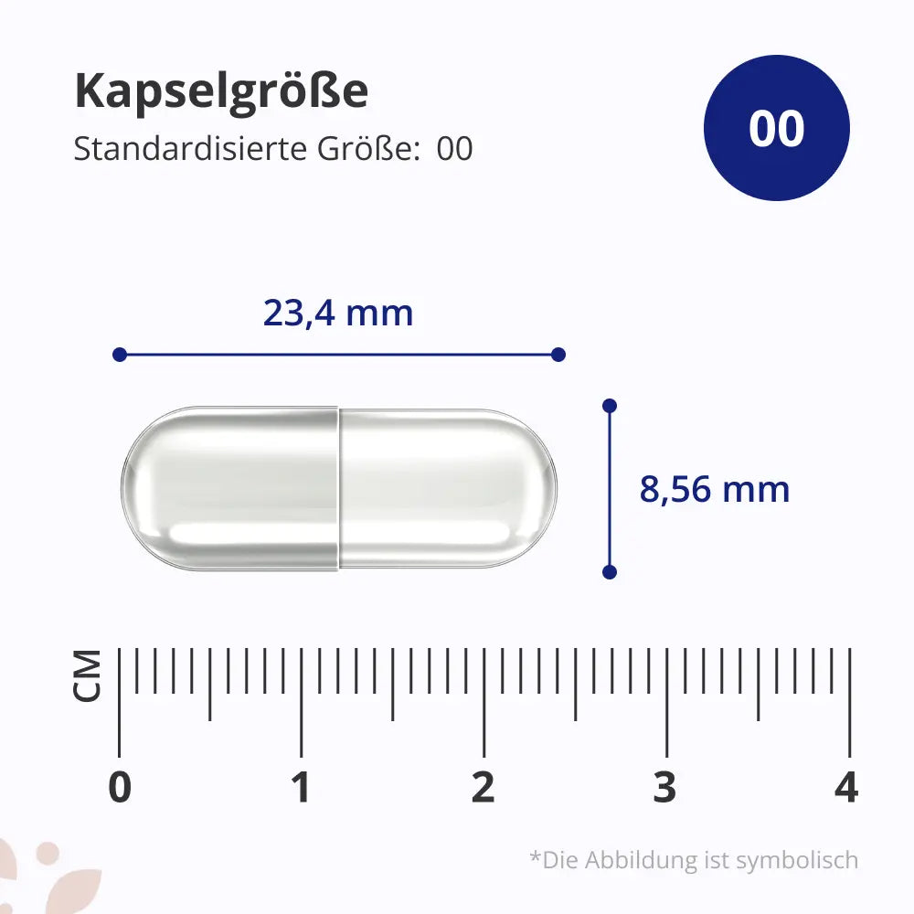HealthyWorld | Colostrum 30 % IgG für die tägliche Unterstützung der Vitalität - 120 Kapseln