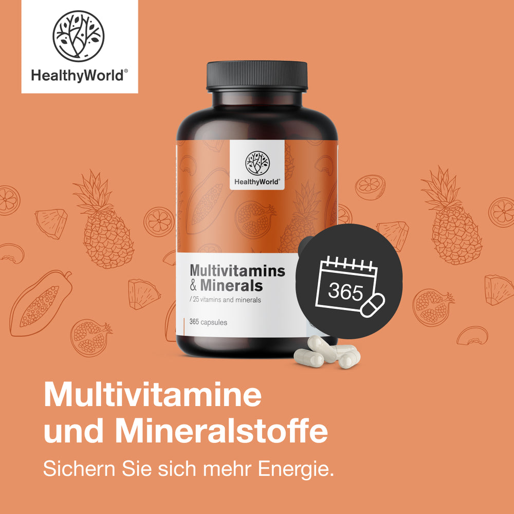 HealthyWorld | Multivitamine & Mineralien – 25 Vitamine & Mineralstoffe für Energie, Immunsystem & Vitalität - 365 Kapseln