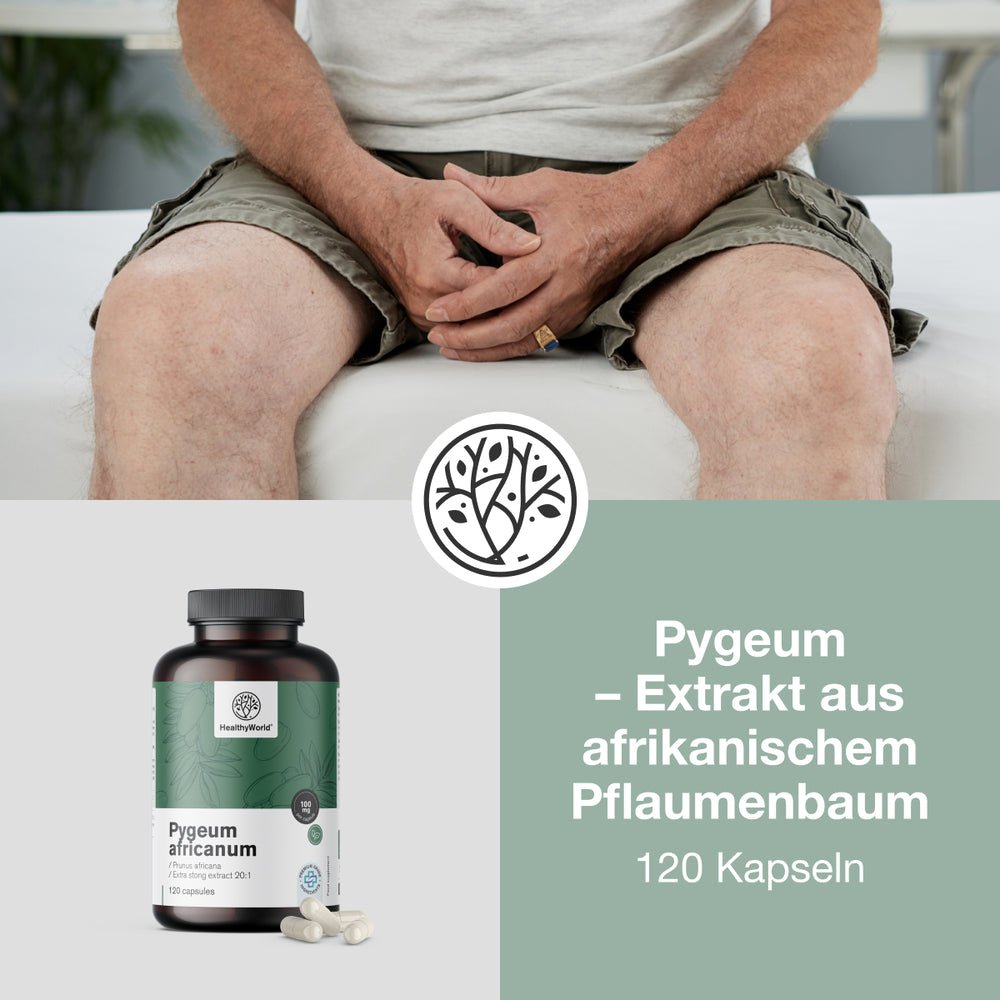 HealthyWorld | Pygeum – Extrakt aus afrikanischem Pflaumenbaum - 120 Kapseln