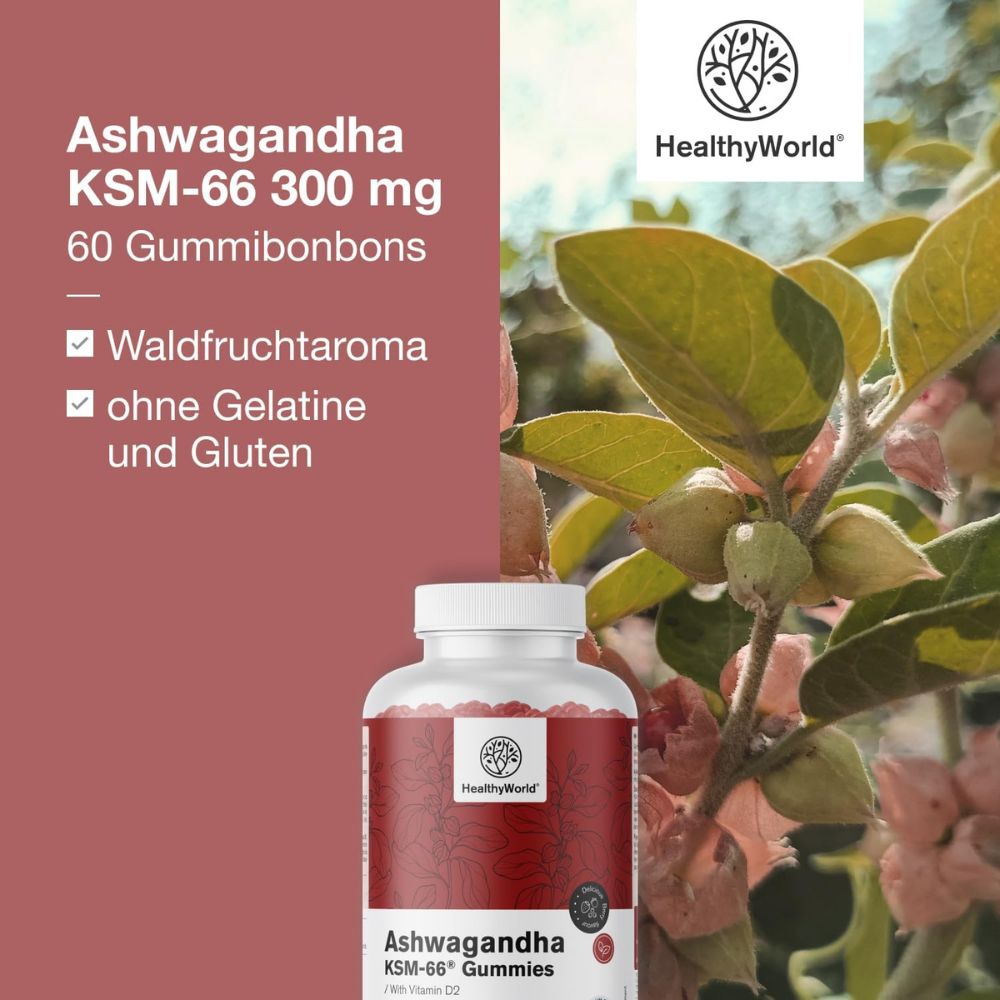 HealthyWorld | Ashwagandha KSM-66 300 mg - 60 Gummibonbons