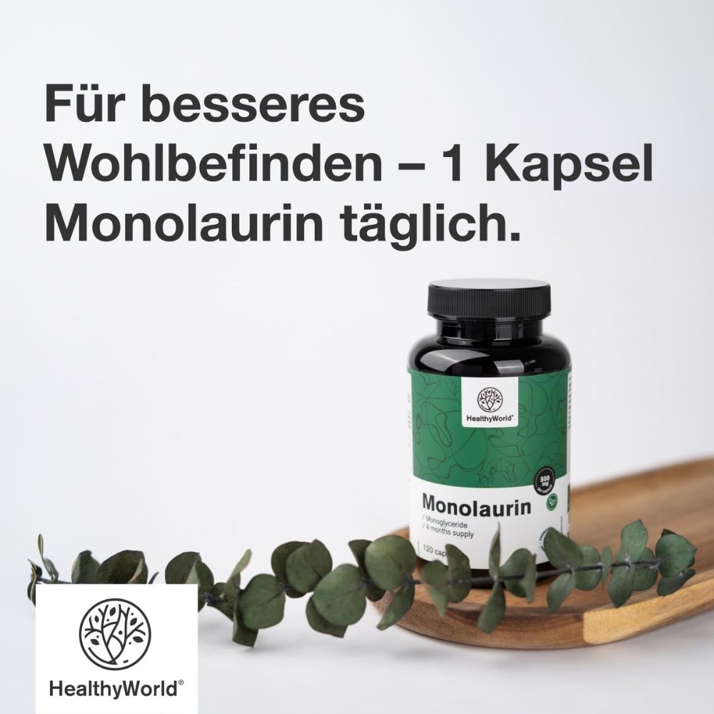 HealthyWorld | Monolaurin 500 mg – 120 Kapseln