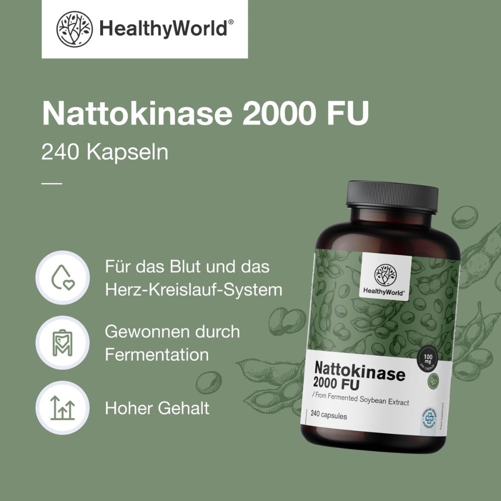 HealthyWorld | Nattokinase 2000 FU für das Blut- und das Herz-Kreislauf-System - 240 Kapseln