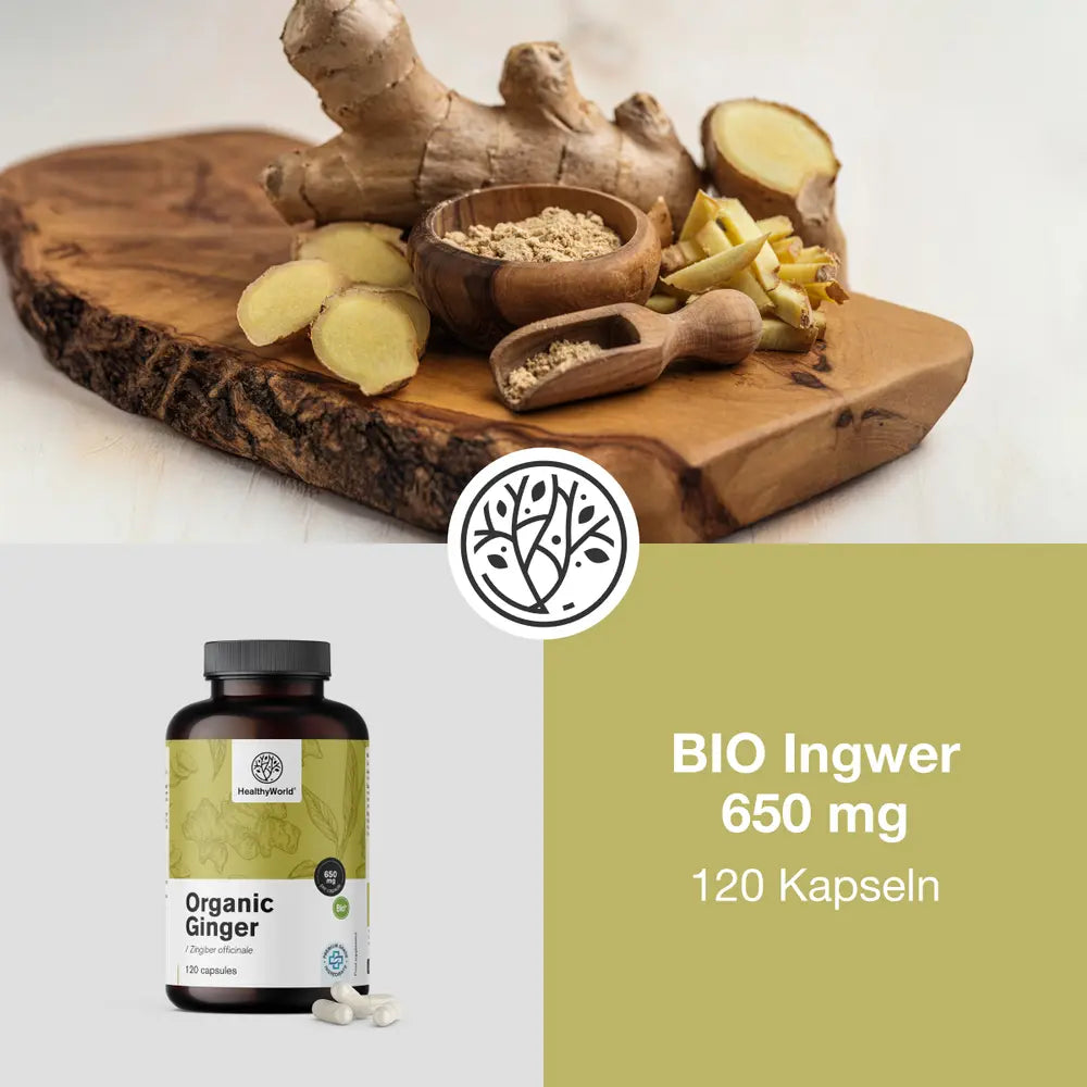 HealthyWorld | BIO Ingwer 650 mg – 120 Kapseln