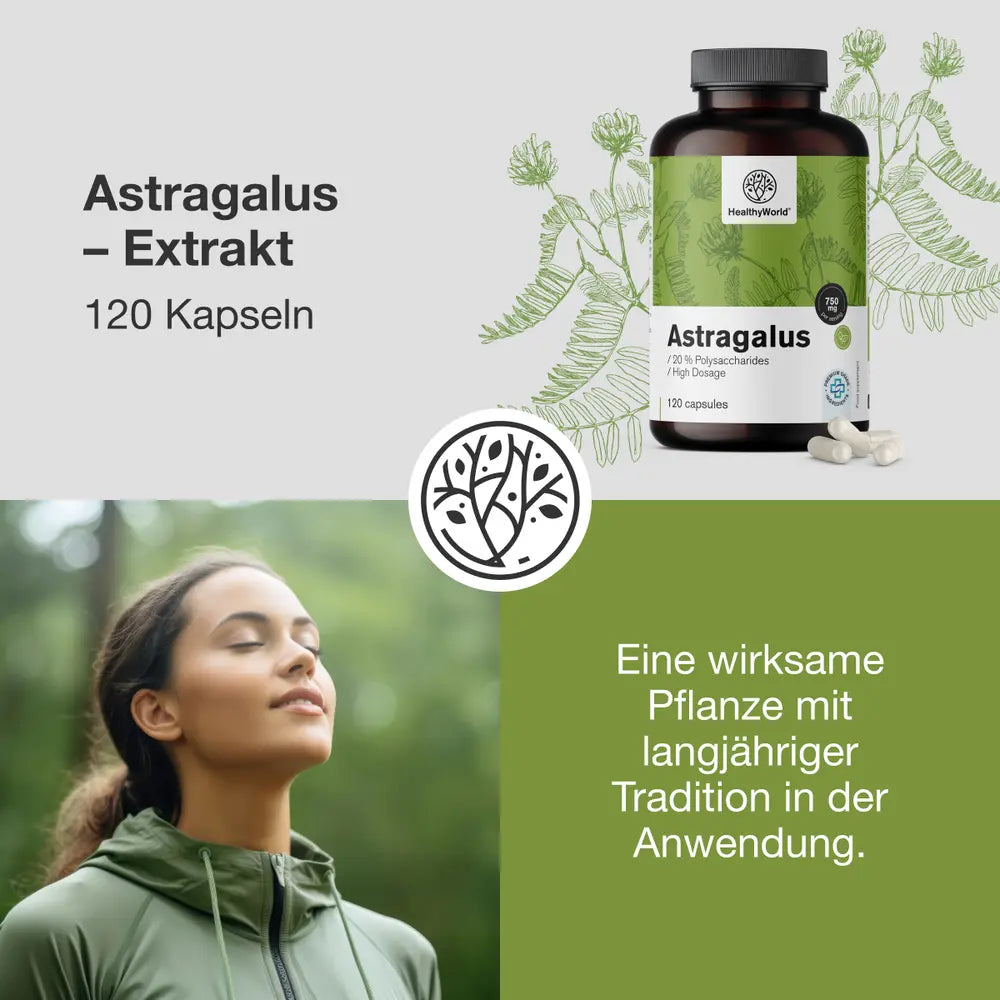 HealthyWorld | Astragalus – Extrakt – 90 Kapseln
