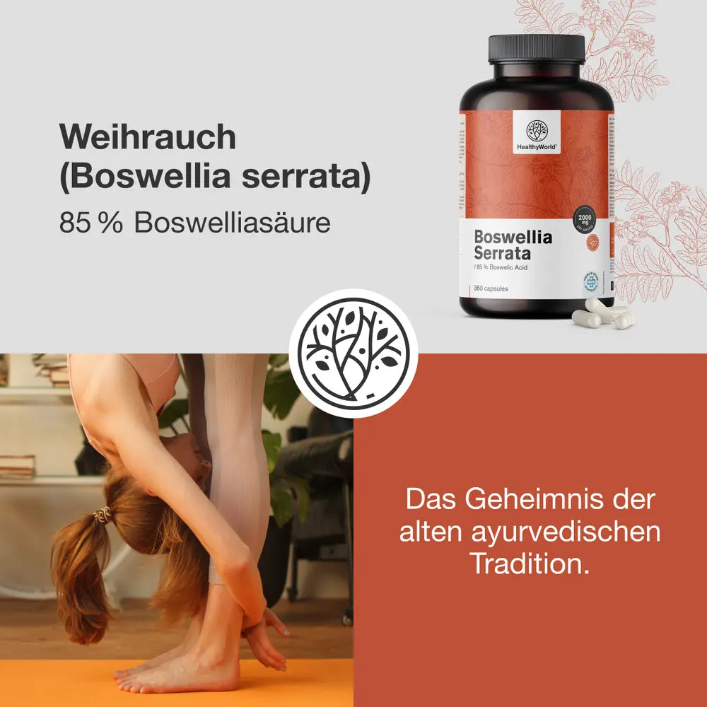 HealthyWorld | Weihrauch (Boswellia serrata) – 85 % Boswelliasäure – 360 Kapseln