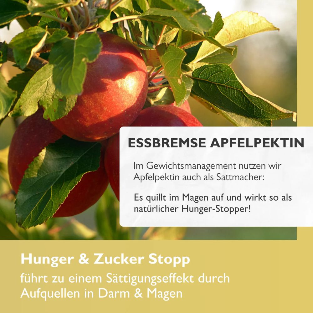 Code Vital | Hunger & Zucker Stopp - Programmiere deinen Darm auf schlank!