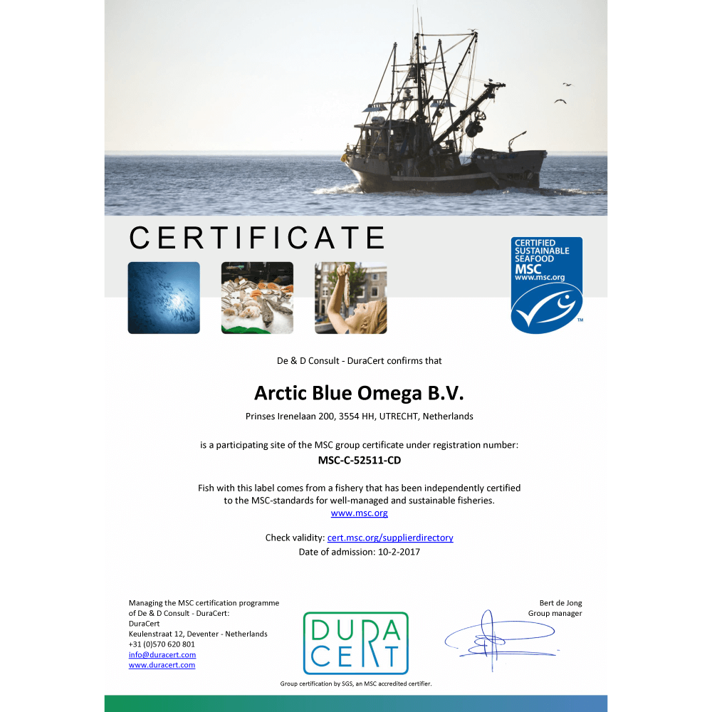 Arctic Blue | L-Theanin Omega-3 - 90 Weichkapseln