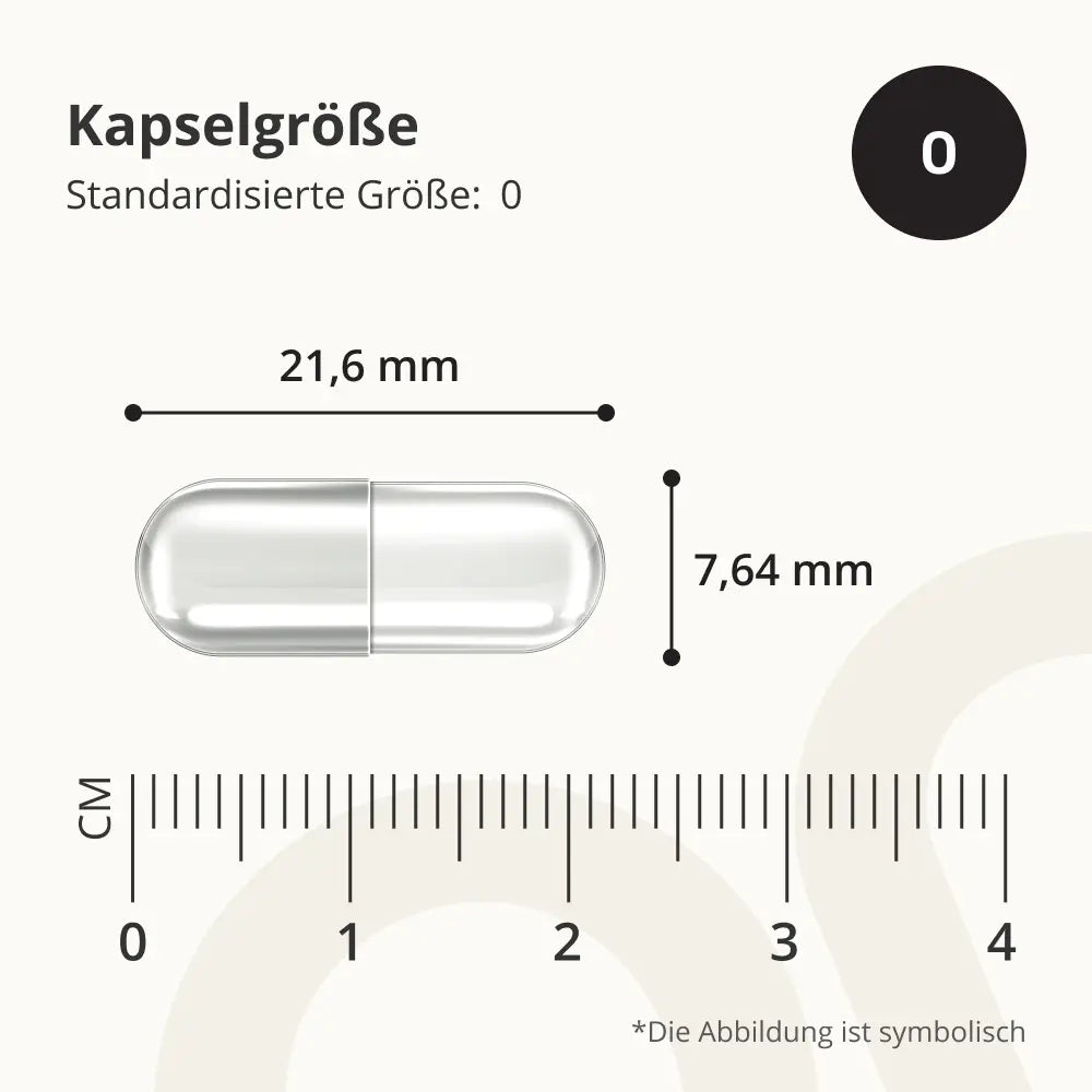 OnEnergy | L-Lysin 1000 mg - eine essentielle Aminosäure - 365 Kapseln