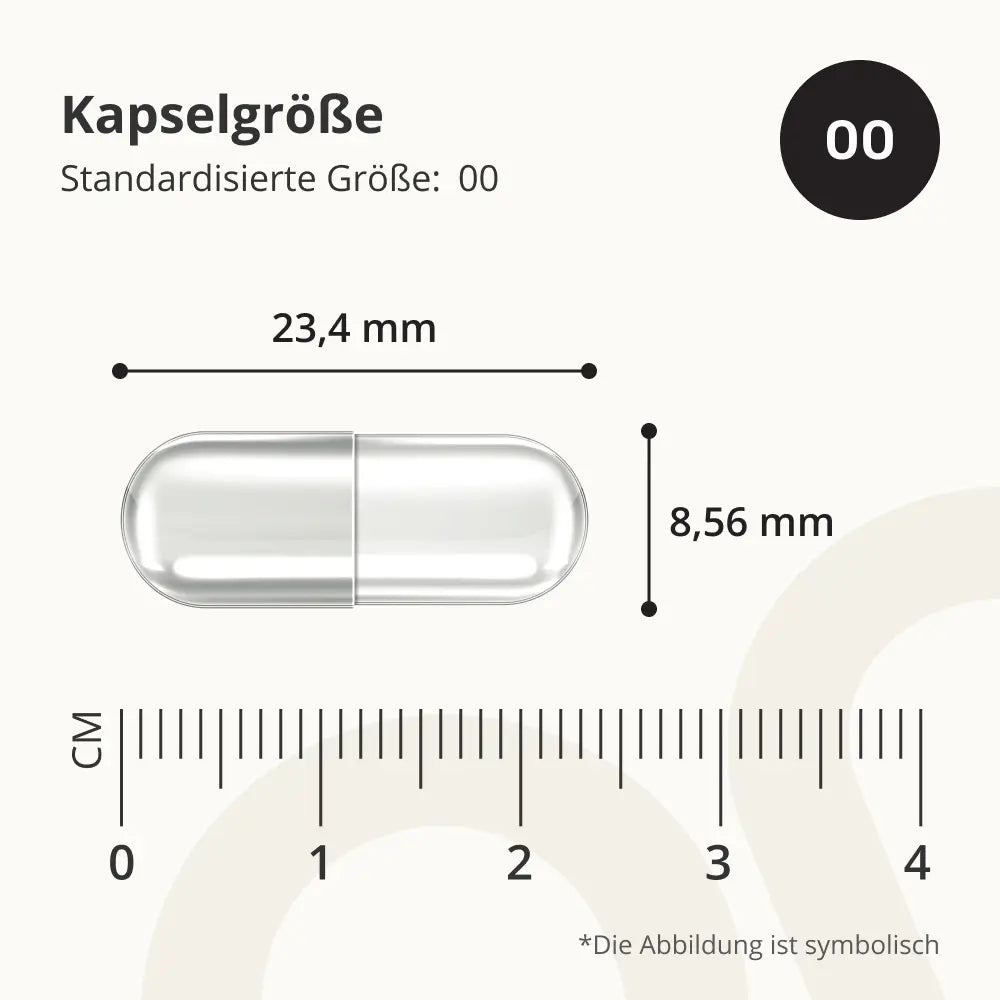 OnEnergy | Mutterkraut (Feverfew) – Extrakt - 60 Kapseln