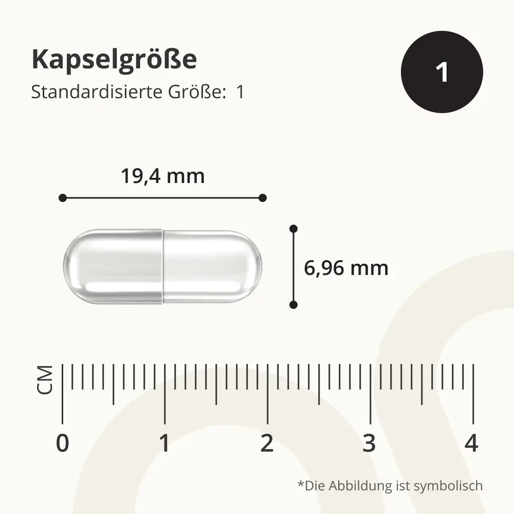 OnEnergy | Brahmi 1200 mg - Lernen, Konzentration und Denkfähigkeit - 90 Kapseln