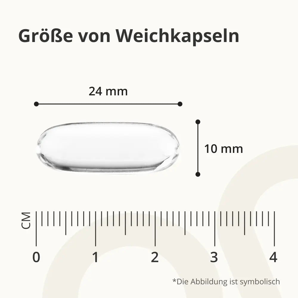 OnEnergy | Omega-3 1000 mg aus Fischöl - 360 Weichkapseln