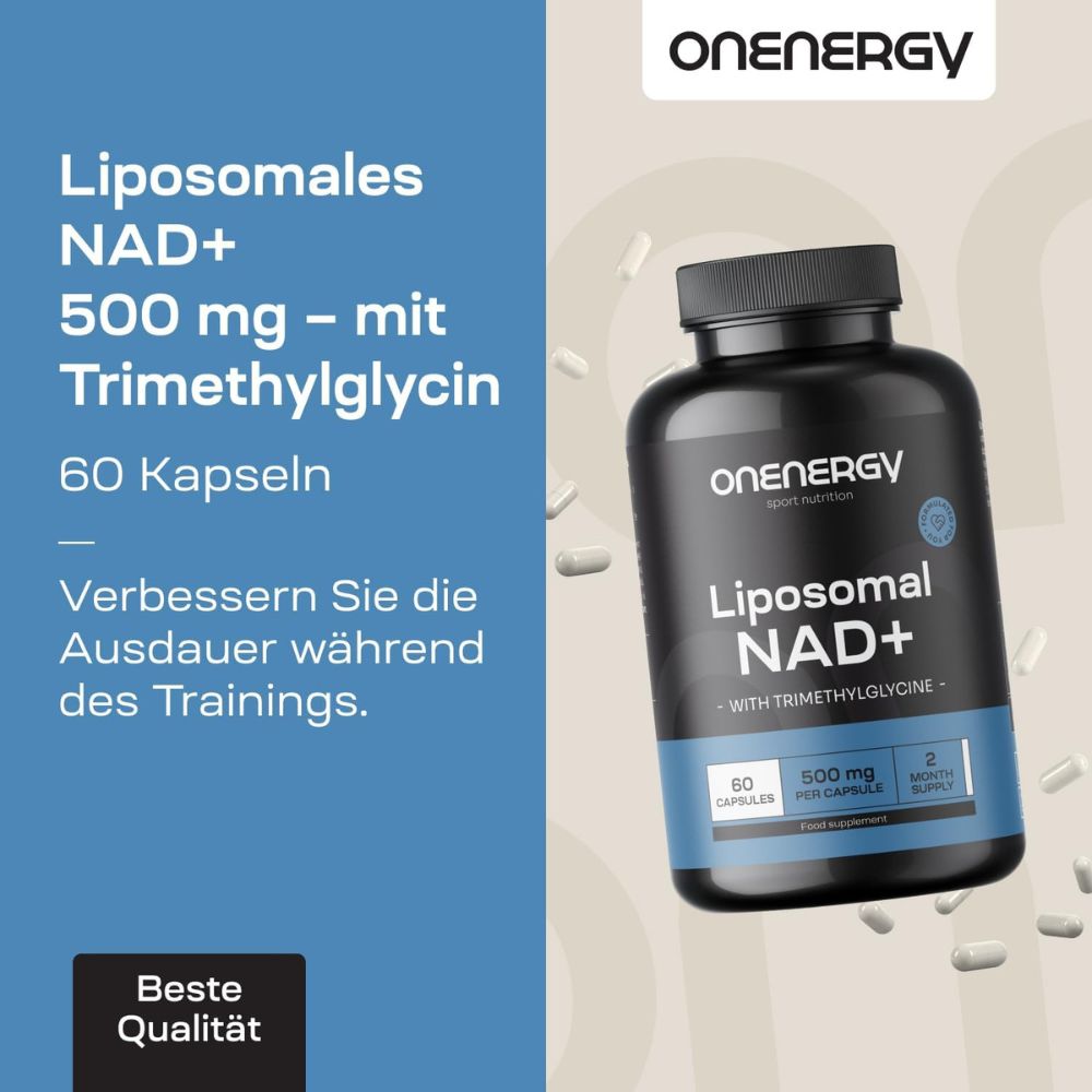 OnEnergy | Liposomales NAD+ 500 mg – mit Trimethylglycin - 60 Kapseln