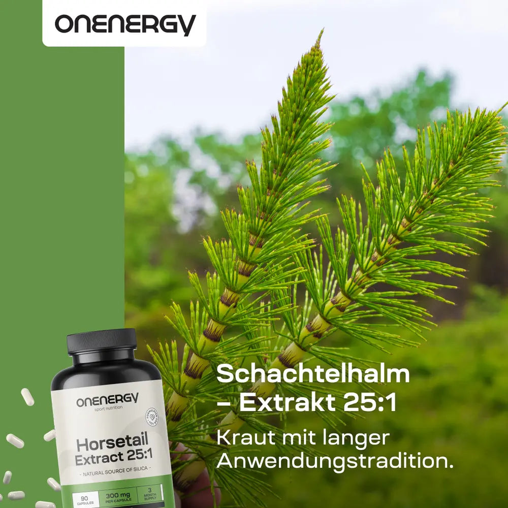 OnEnergy | Ackerschachtelhalm – Extrakt 25:1 - 90 Kapseln