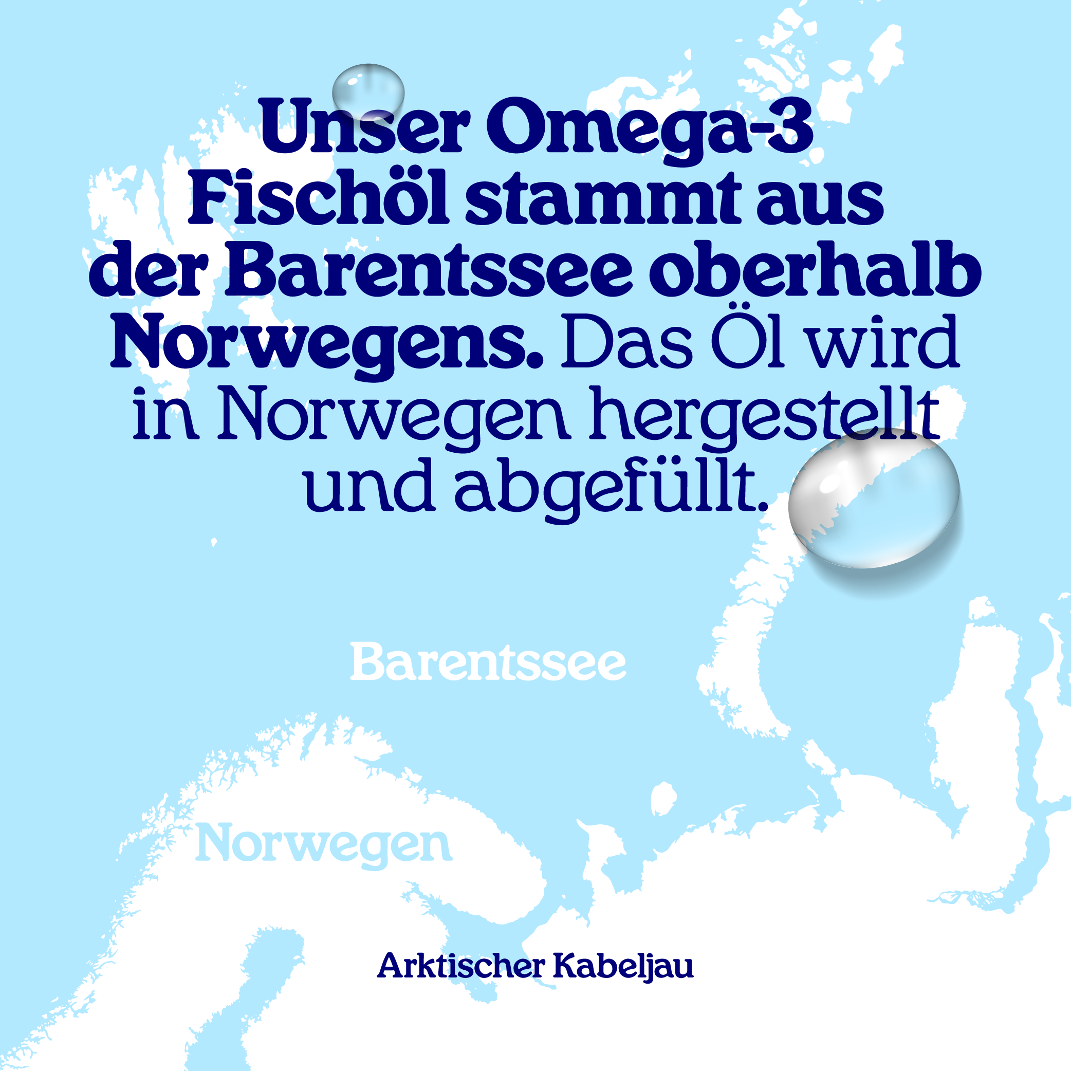 Arctic Blue | Omega 3 Fischöl DHA EPA - 100% Konzentrat - 150 ml