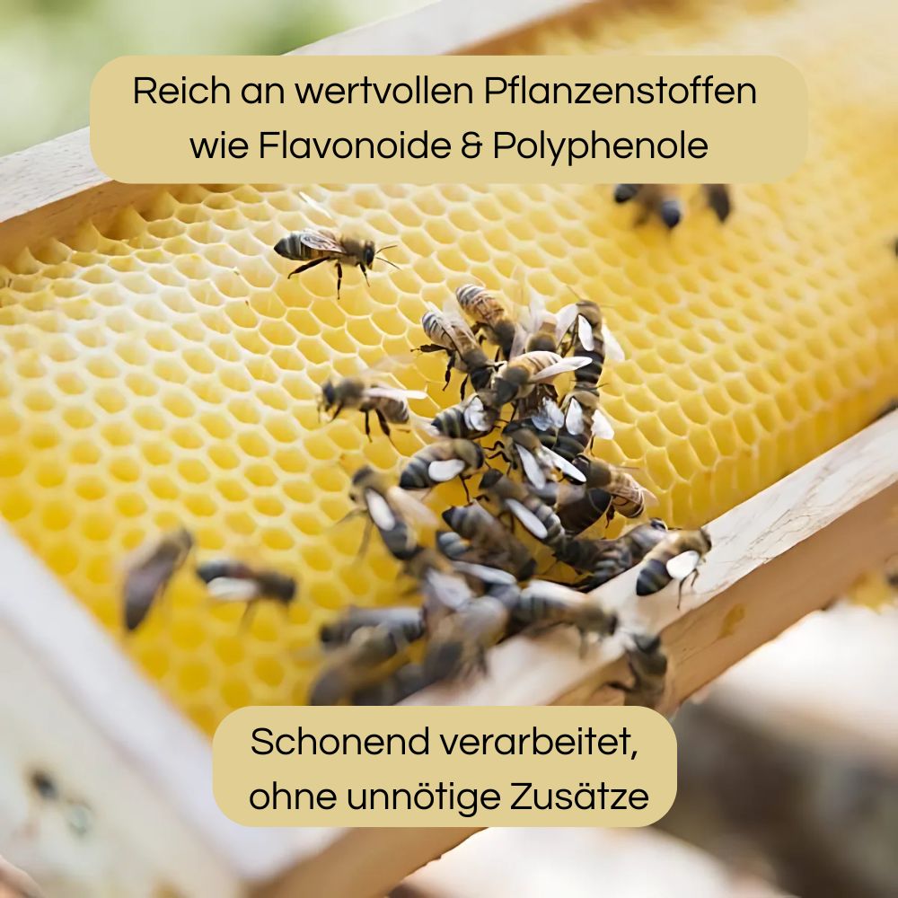 Little Bee Fresh | Propolis 320mg Extraktpulver - 60 Kapseln