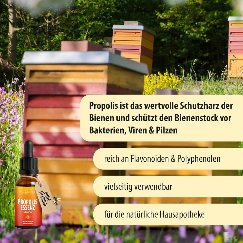 Little Bee Fresh | Propolis Essenz Pflegt, schützt & beruhigt - alkoholfrei - 30 ml