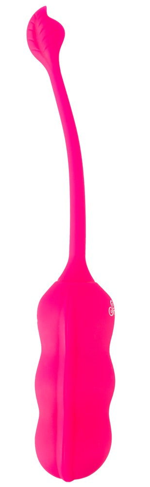 Sweet Smile | Liebeskugeln mit Shaking Funktion | Vaginal Trainer für Fortgeschrittene