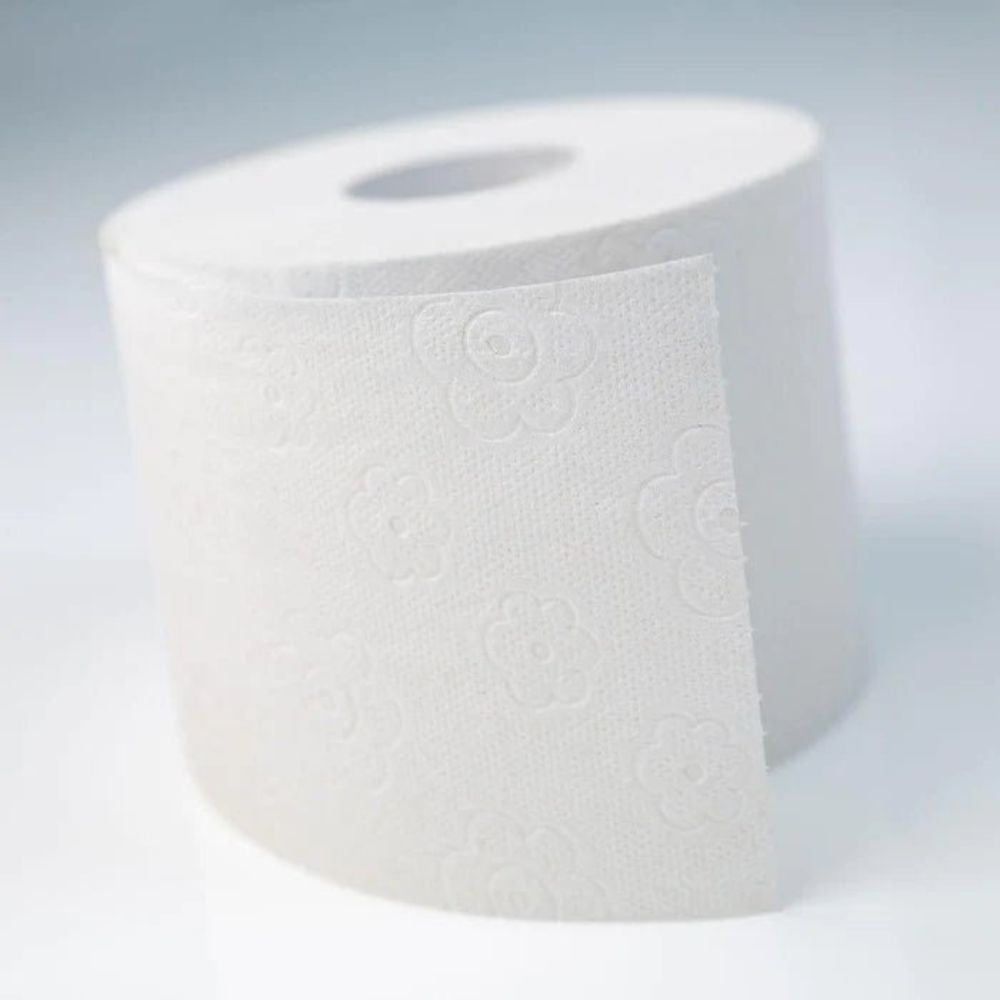 oecolife Toilettenpapier Box RECYCLING XXL - 27 Rollen mit je 250 Blatt