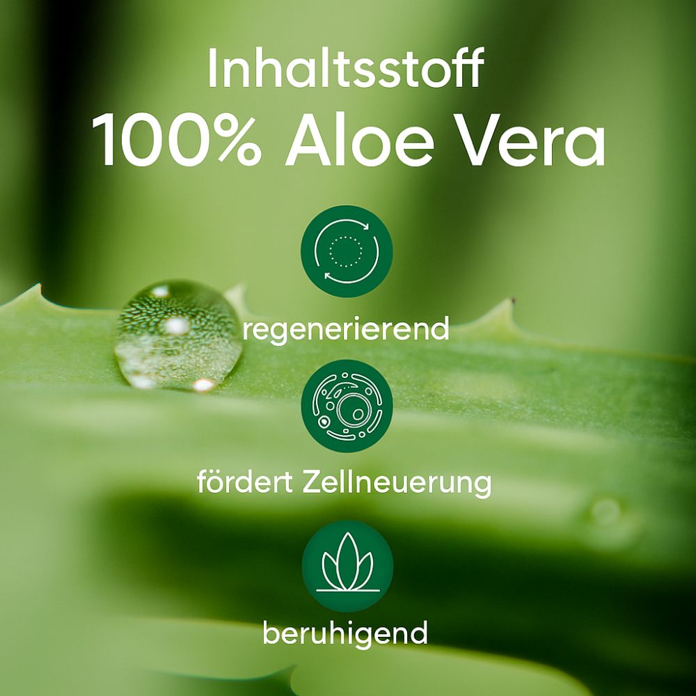 APRICOT I Dekolleté Pad mit Aloe vera - 30 Behandlungen
