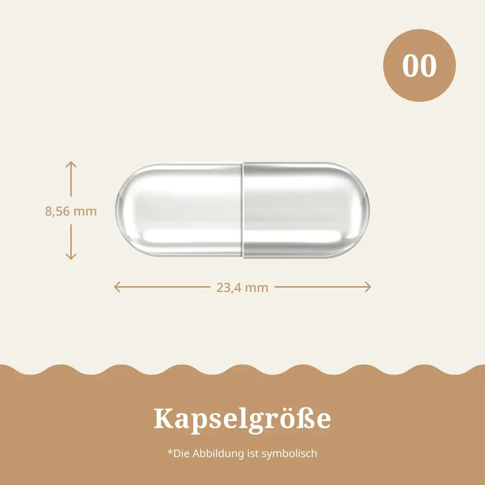 MycoWay | Pilzkomplex zur Stärkung und Unterstützung des Körpers - 180 Kapsel