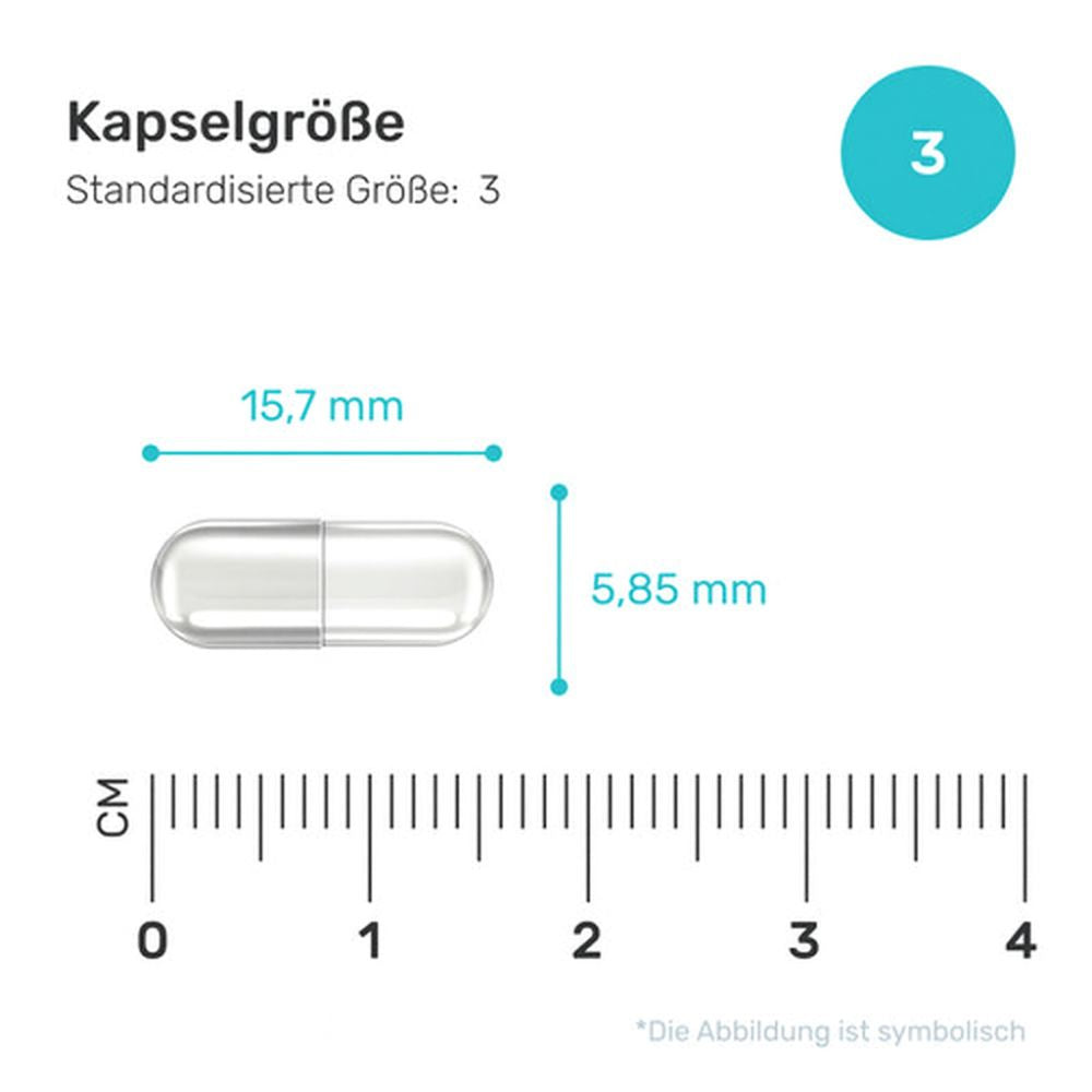 FutuNatura | Ginseng - Energie und Immunität - 60 Kapseln